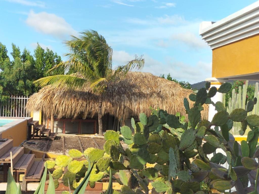 Landhuis Belnem Bonaire Playa Exteriér fotografie